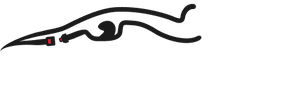 AIMSS Motorsport Safety Summit Logo